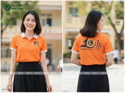áo thun đồng phục họp lớp đẹp nhất